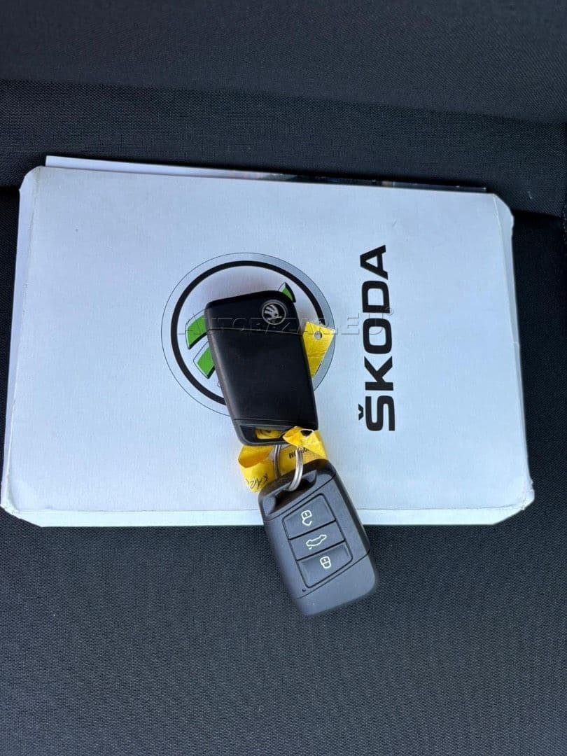 Škoda Karoq 2.0 TDI EVO Ambition DSG thumb 40